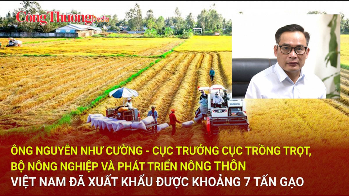 Việt Nam đã xuất khẩu được khoảng 7 tấn gạo