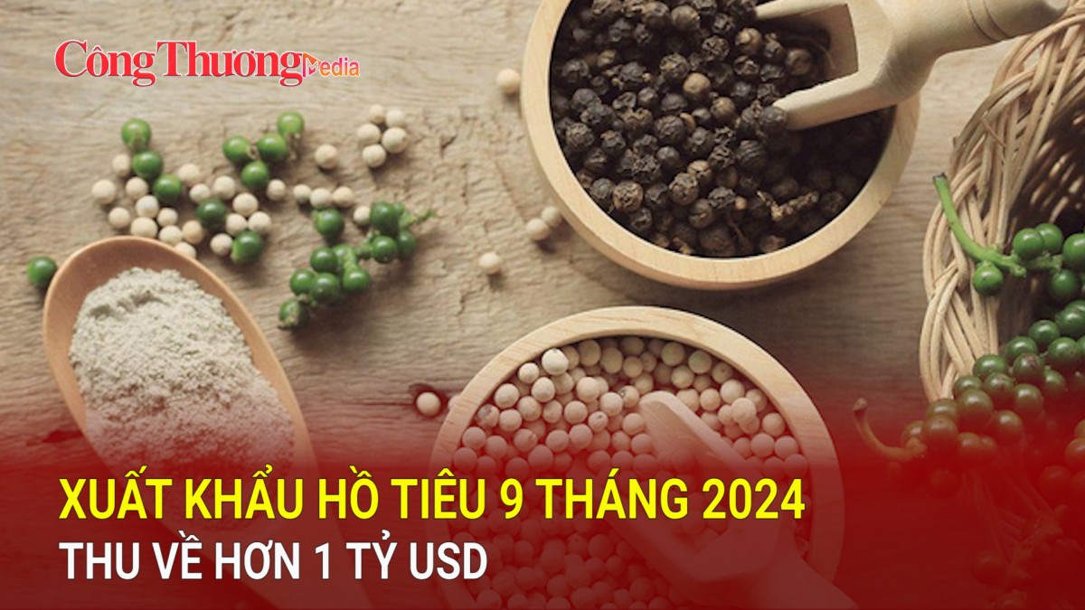 Xuất khẩu hồ tiêu 9 tháng 2024 thu về hơn 1 tỷ USD