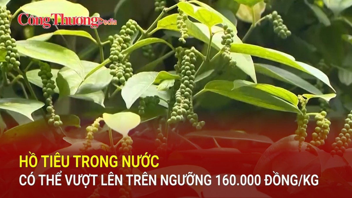 Hồ tiêu trong nước có thể vượt lên trên ngưỡng 160.000 đồng/kg