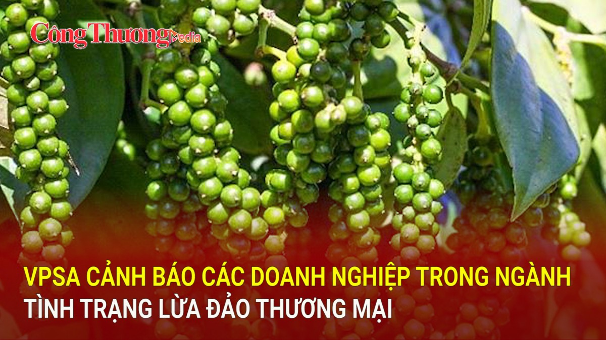 VPSA cảnh báo các doanh nghiệp trong ngành tình trạng lừa đảo thương mại