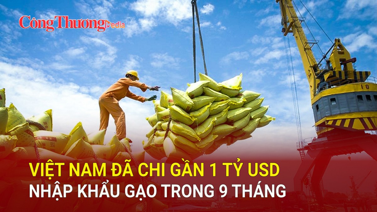 Việt Nam đã chi gần 1 tỷ USD nhập khẩu gạo trong 9 tháng