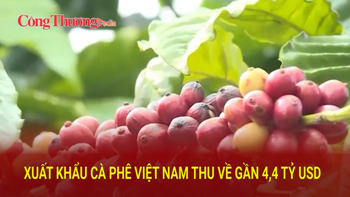 Xuất khẩu cà phê Việt Nam thu về gần 4,4 tỷ USD