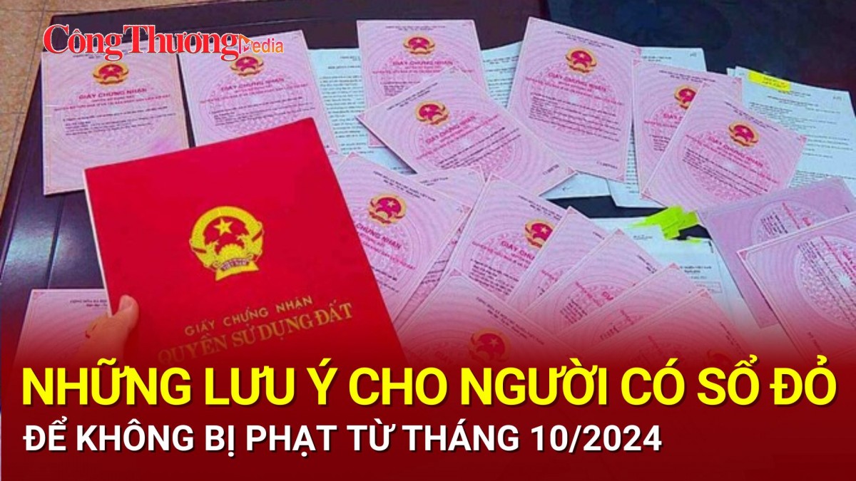 Những lưu ý cho người có sổ đỏ để không bị phạt từ tháng 10/2024