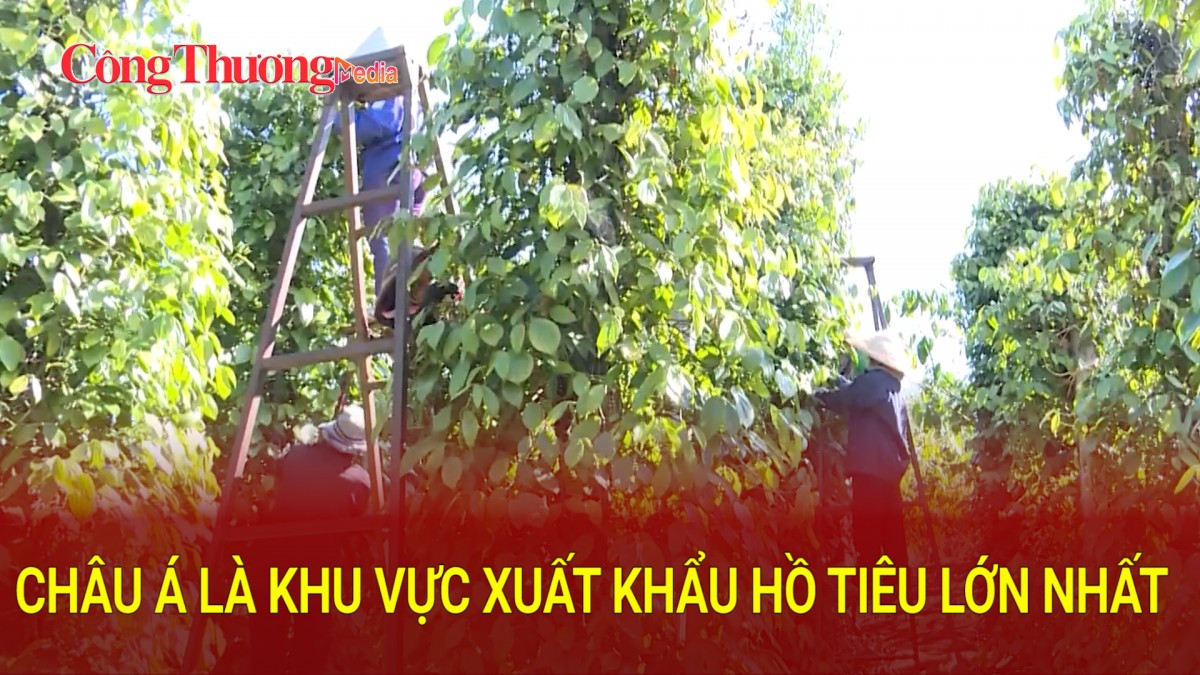 Châu Á là khu vực xuất khẩu hồ tiêu lớn nhất