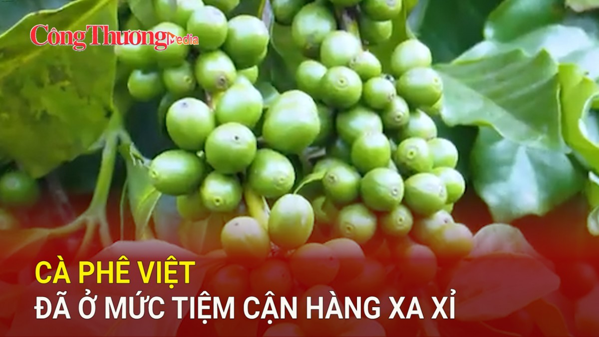 Cà phê Việt đã ở mức tiệm cận hàng xa xỉ