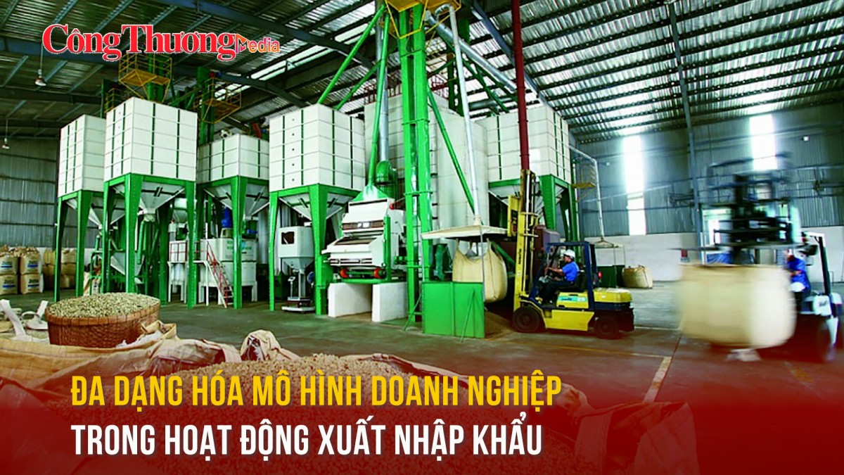 Đa dạng hóa mô hình doanh nghiệp trong hoạt động xuất nhập khẩu