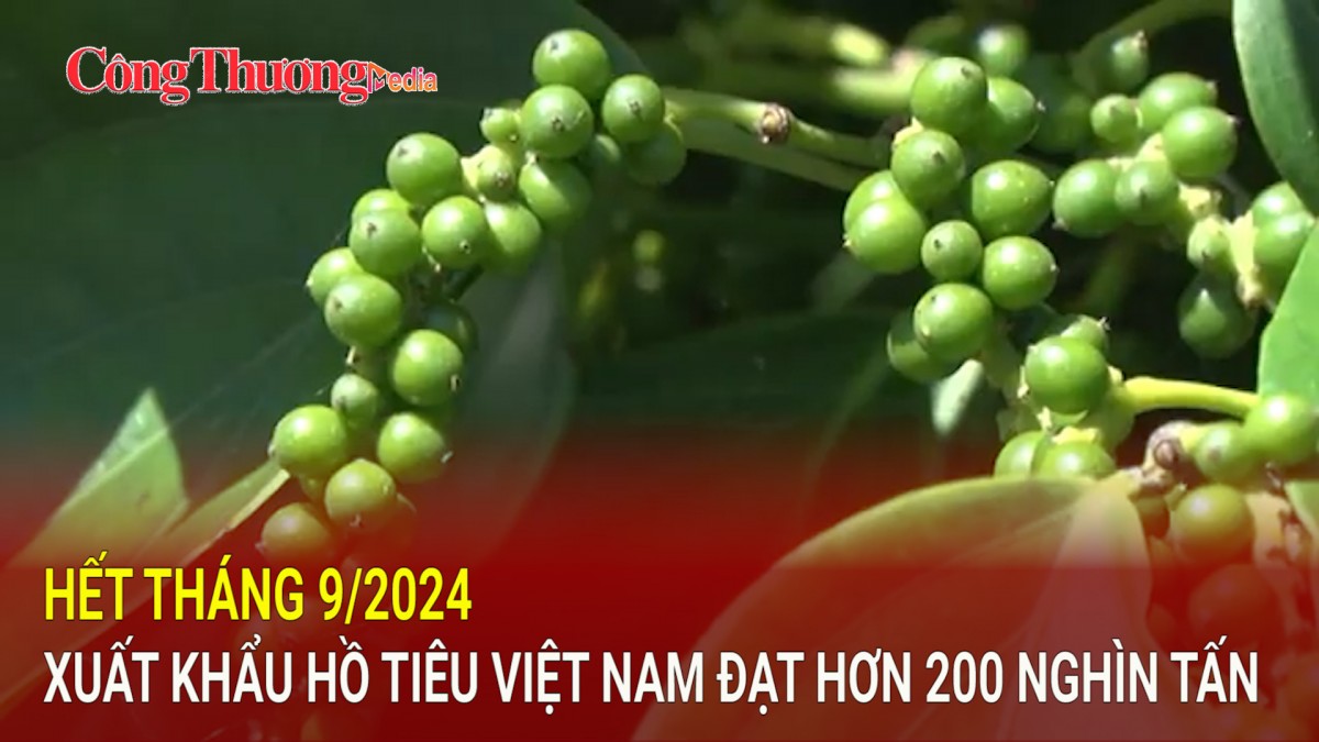 Hết tháng 9/2024 xuất khẩu hồ tiêu Việt Nam đạt hơn 200 nghìn tấn