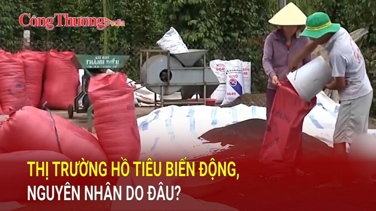 Thị trường hồ tiêu biến động, nguyên nhân do đâu?