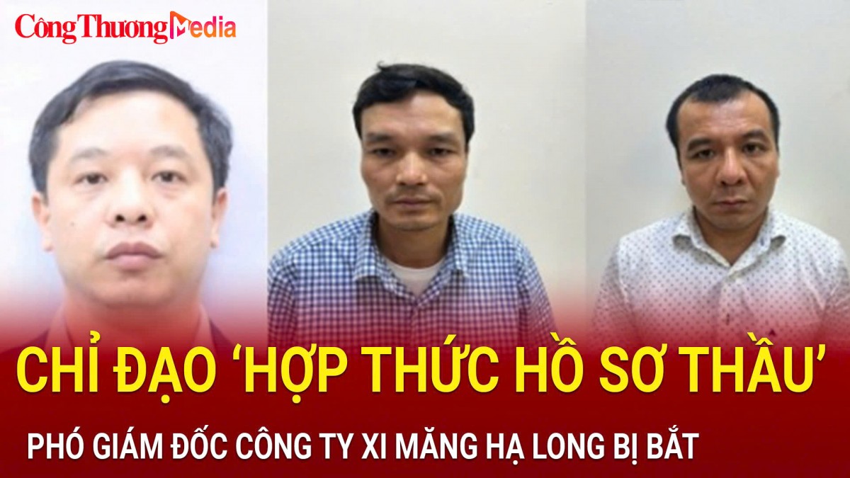 Bắt Phó Tổng Giám đốc Công ty xi măng Hạ Long và 7 đồng phạm