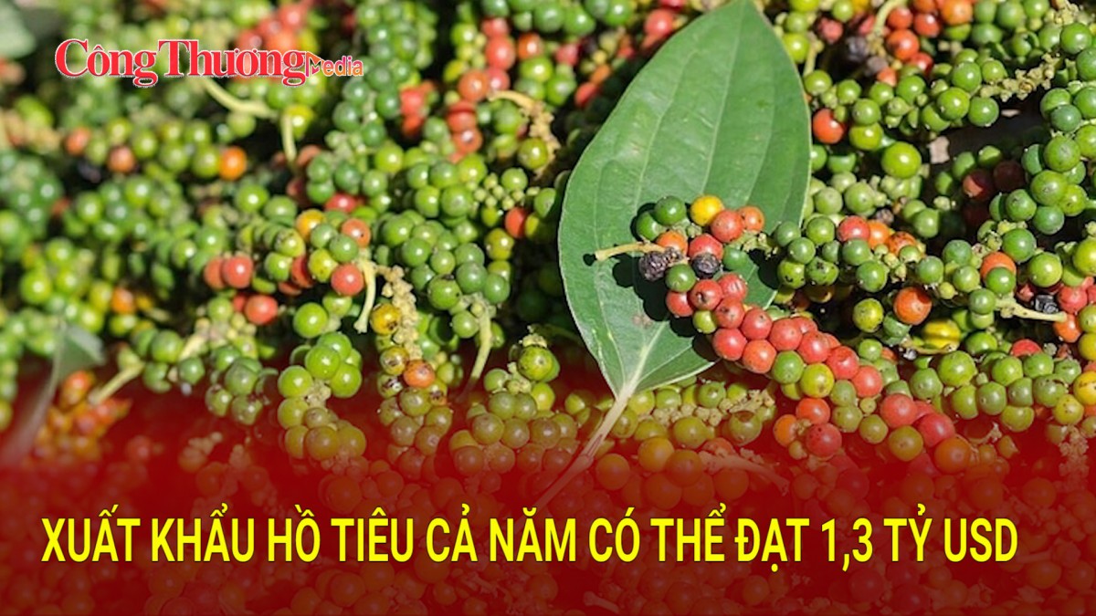 Xuất khẩu hồ tiêu cả năm có thể đạt 1,3 tỷ USD