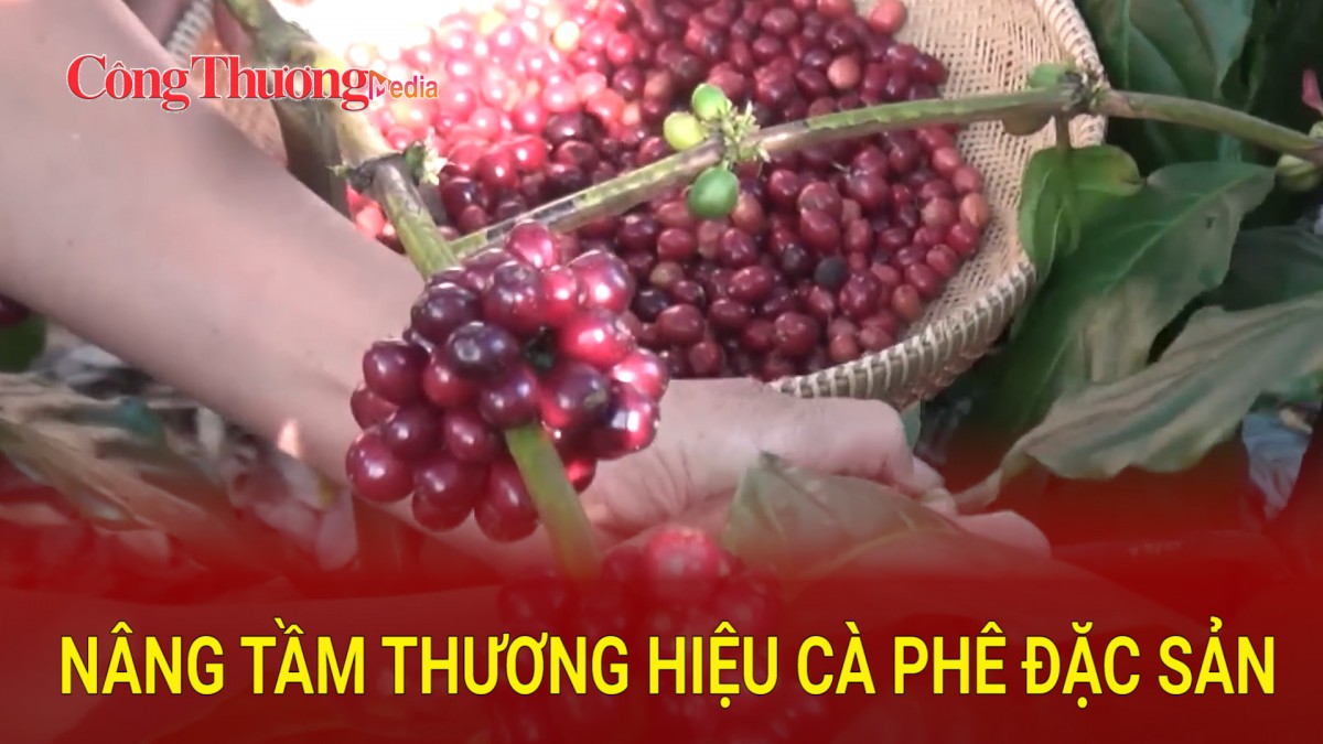 Nâng tầm thương hiệu cà phê đặc sản