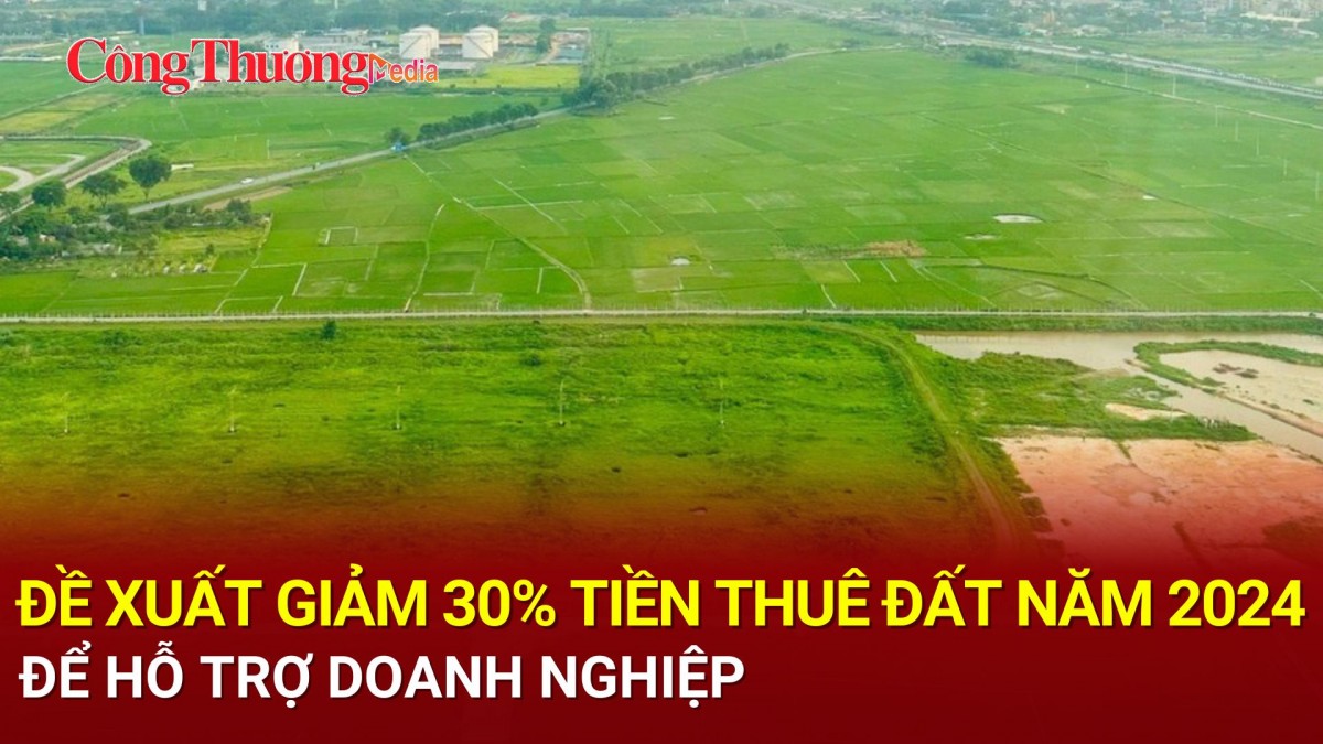 Đề xuất giảm 30% tiền thuê đất năm 2024 để hỗ trợ doanh nghiệp