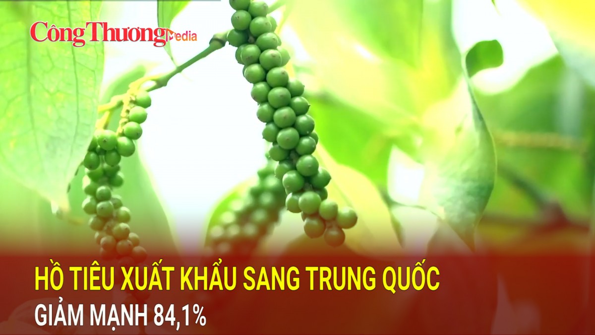 Hồ tiêu xuất khẩu sang Trung Quốc giảm mạnh 84,1%