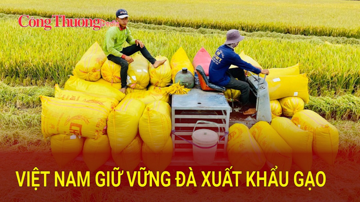 Việt Nam giữ vững đà xuất khẩu gạo