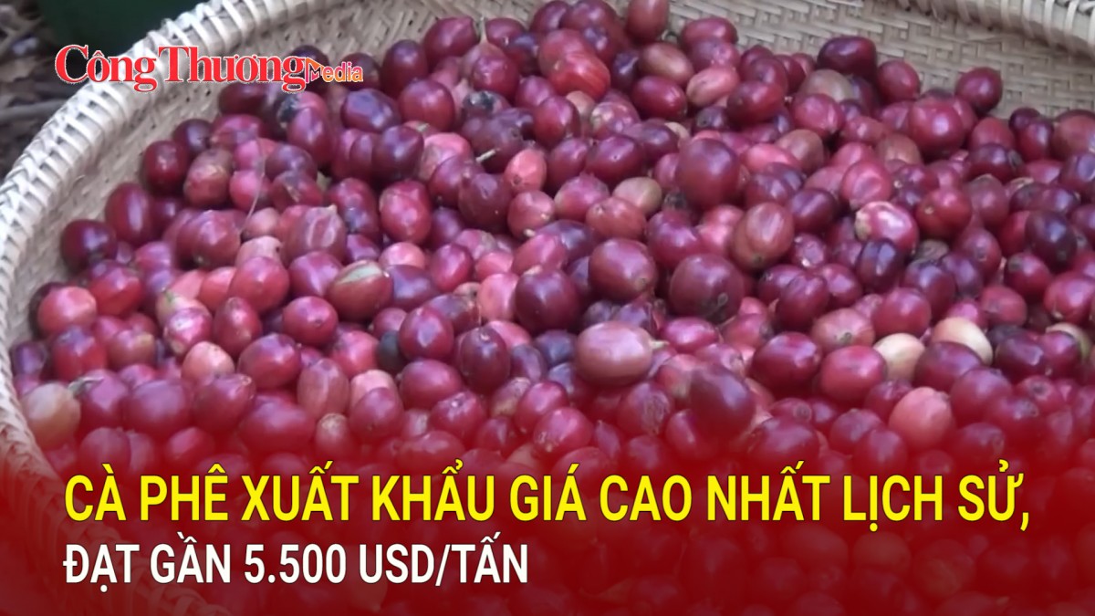 Cà phê xuất khẩu giá cao nhất lịch sử, đạt gần 5.500 USD/tấn