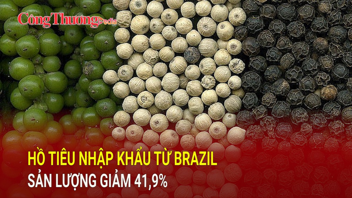 Hồ tiêu nhập khẩu từ Brazil sản lượng giảm 41,9%