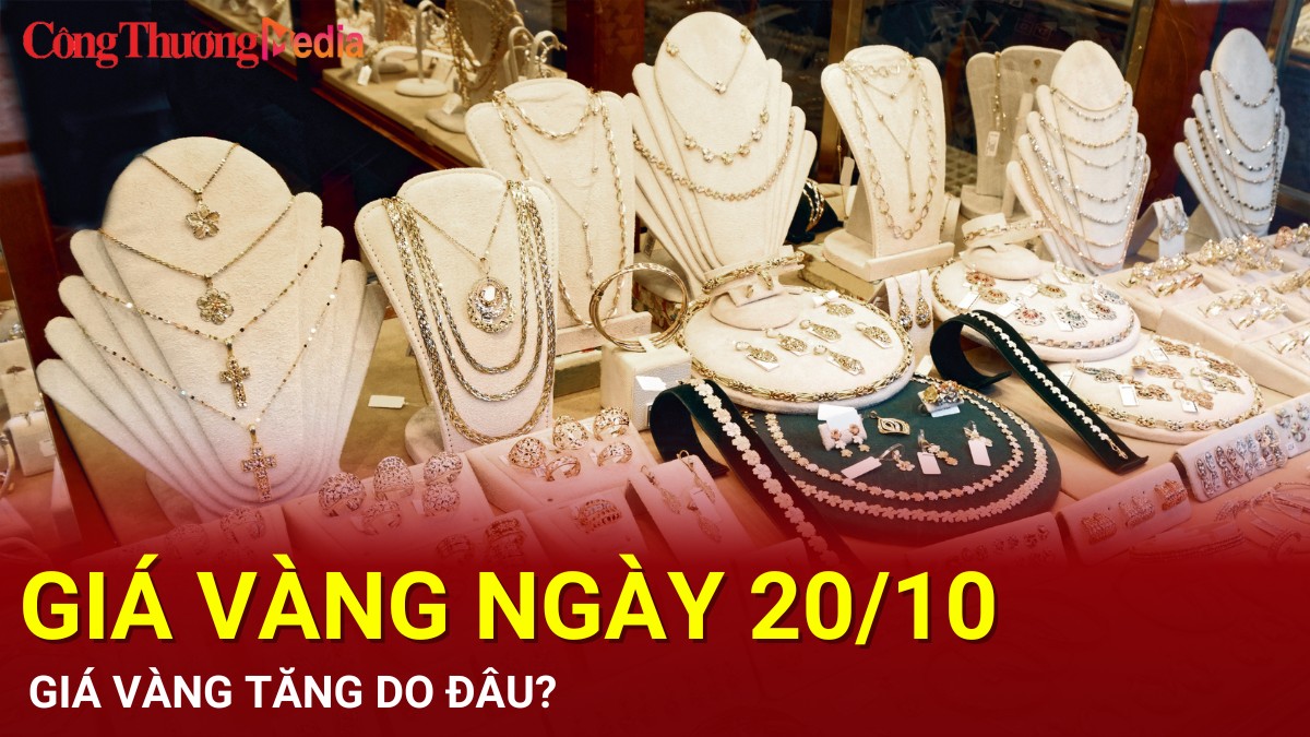 Giá vàng hôm nay 20/10/2024: Giá vàng tăng do đâu?