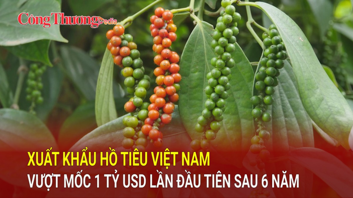 Xuất khẩu hồ tiêu Việt Nam vượt mốc 1 tỷ USD lần đầu tiên sau 6 năm