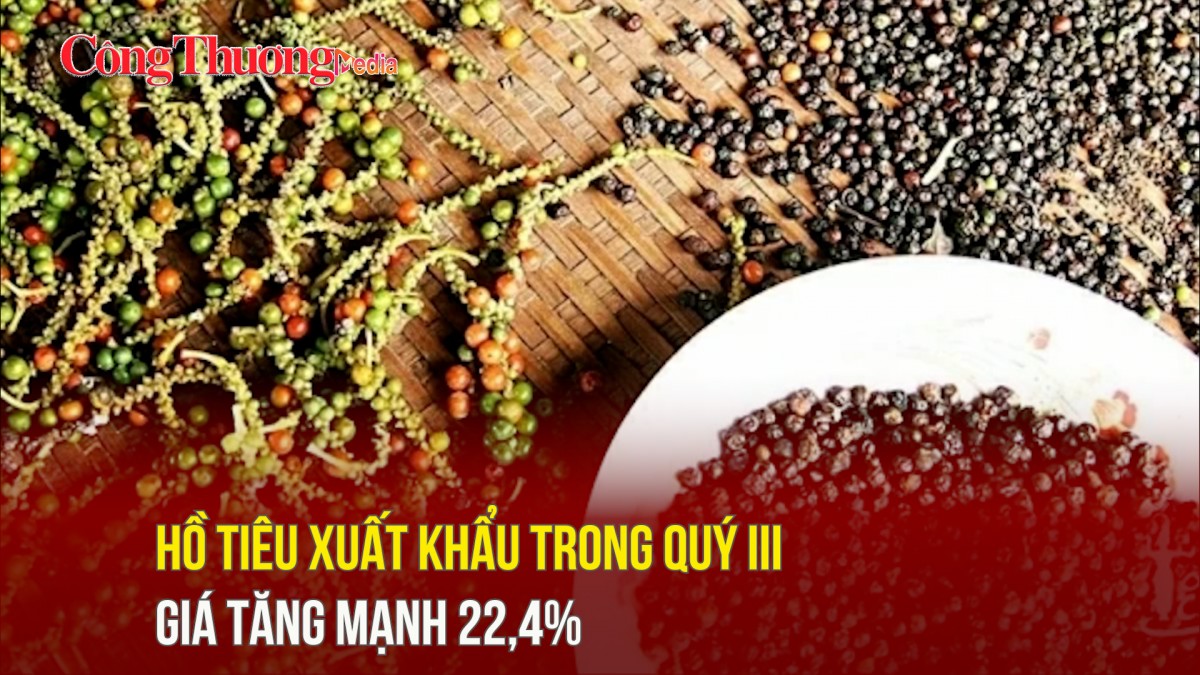 Hồ tiêu xuất khẩu trong quý III giá tăng mạnh 22,4%