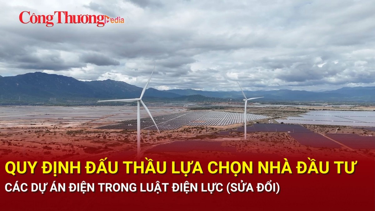 Quy định đấu thầu lựa chọn nhà đầu tư các dự án điện trong Luật Điện lực (sửa đổi)