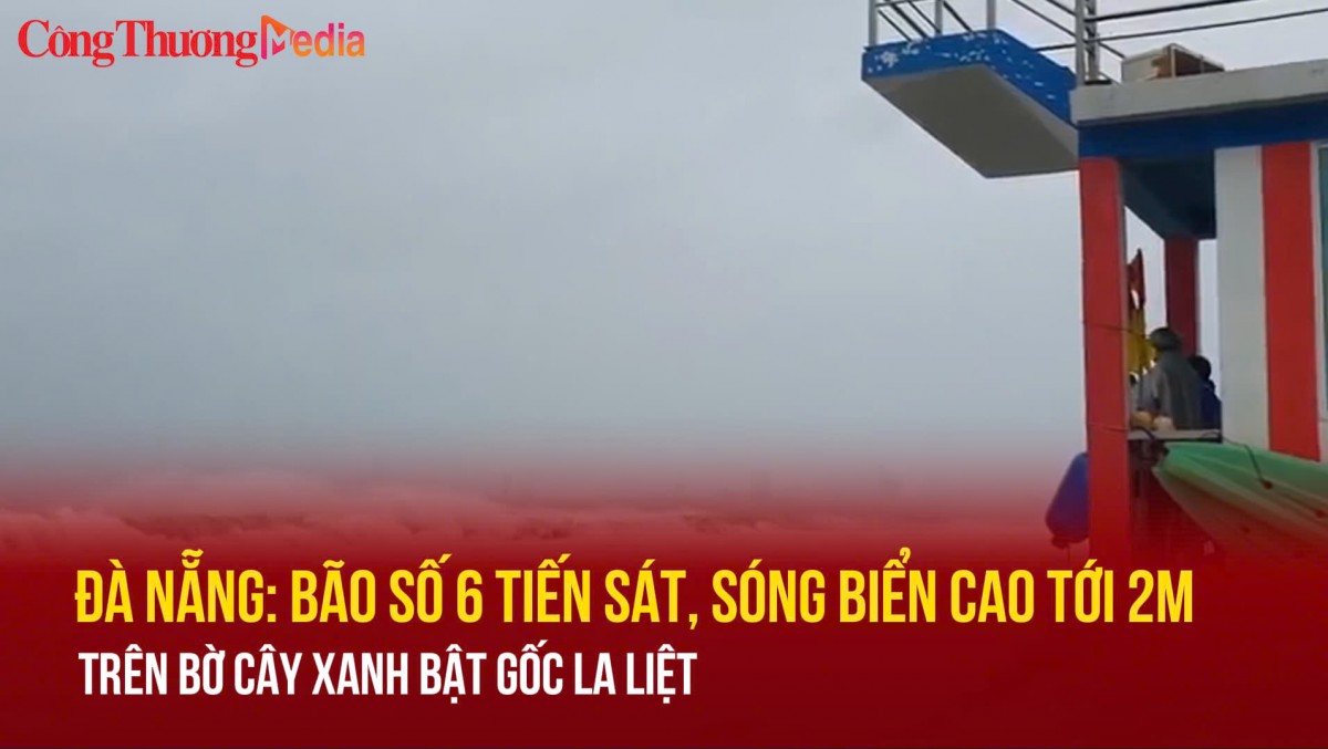 Đà Nẵng: Bão số 6 tiến sát sóng biển cao tới 2m, trên bờ cây xanh bật gốc la liệt