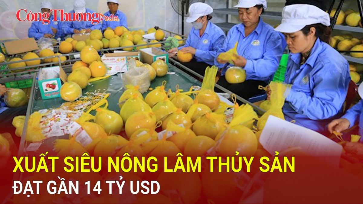 Xuất siêu nông lâm thủy sản đạt gần 14 tỷ USD