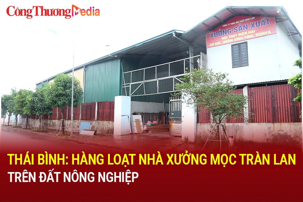 Thái Bình: Hàng loạt nhà xưởng mọc tràn lan trên đất nông nghiệp