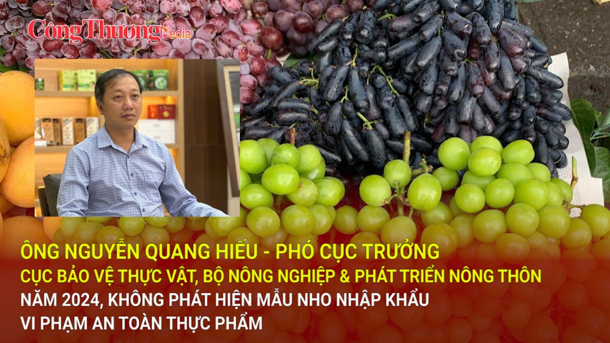 Năm 2024, không phát hiện mẫu nho Trung Quốc nhập khẩu vi phạm an toàn thực phẩm