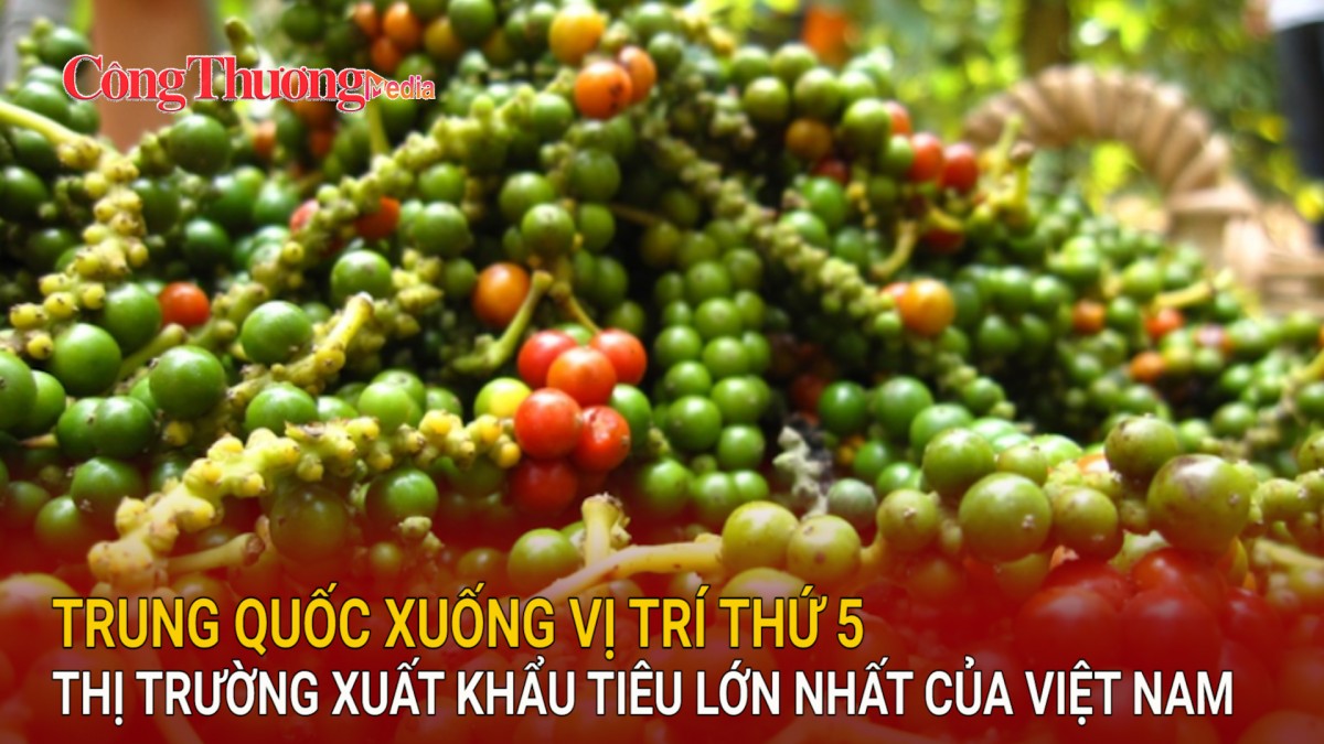 Trung Quốc xuống vị trí thứ 5 thị trường xuất khẩu tiêu lớn nhất của Việt Nam