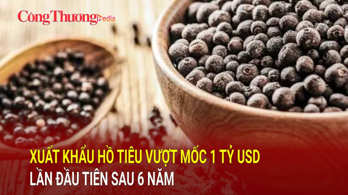 Xuất khẩu hồ tiêu vượt mốc 1 tỷ USD lần đầu tiên sau 6 năm