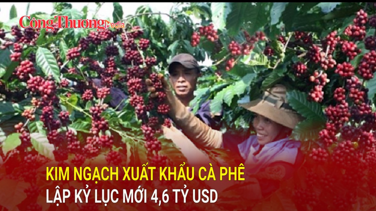 Kim ngạch xuất khẩu cà phê lập kỷ lục mới 4,6 tỷ USD