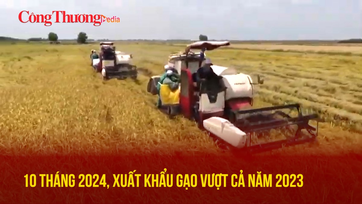 10 tháng 2024, xuất khẩu gạo vượt cả năm 2023