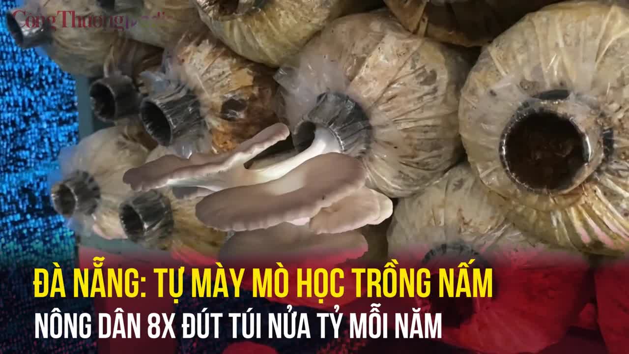 Tự mày mò học trồng nấm, nông dân 8x Đà Nẵng bỏ túi nửa tỷ mỗi năm