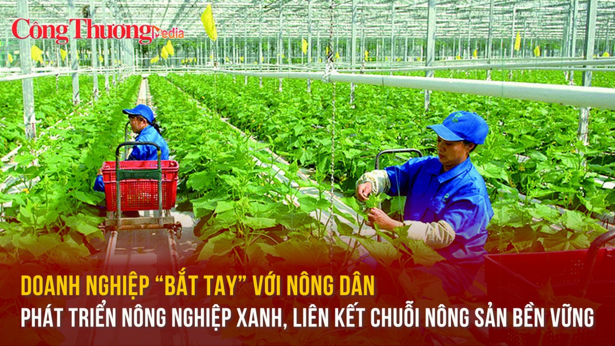 Doanh nghiệp “bắt tay” với nông dân phát triển nông nghiệp xanh, liên kết chuỗi nông sản bền vững