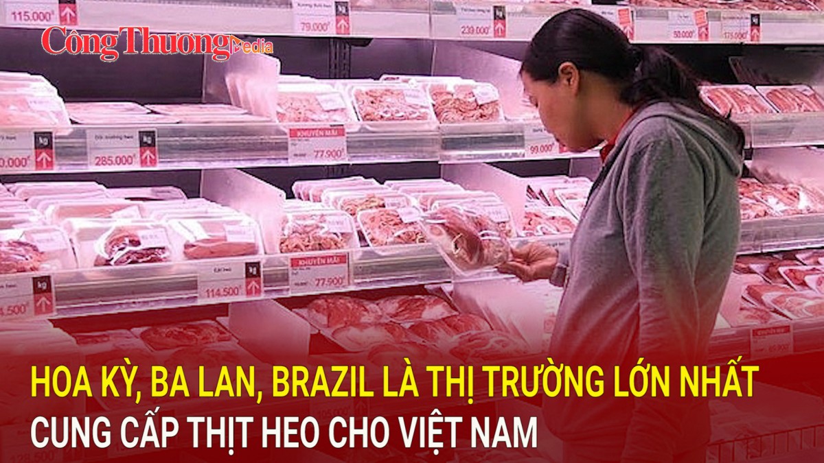 Hoa Kỳ, Ba Lan, Brazil là thị trường lớn nhất cung cấp thịt heo cho Việt Nam