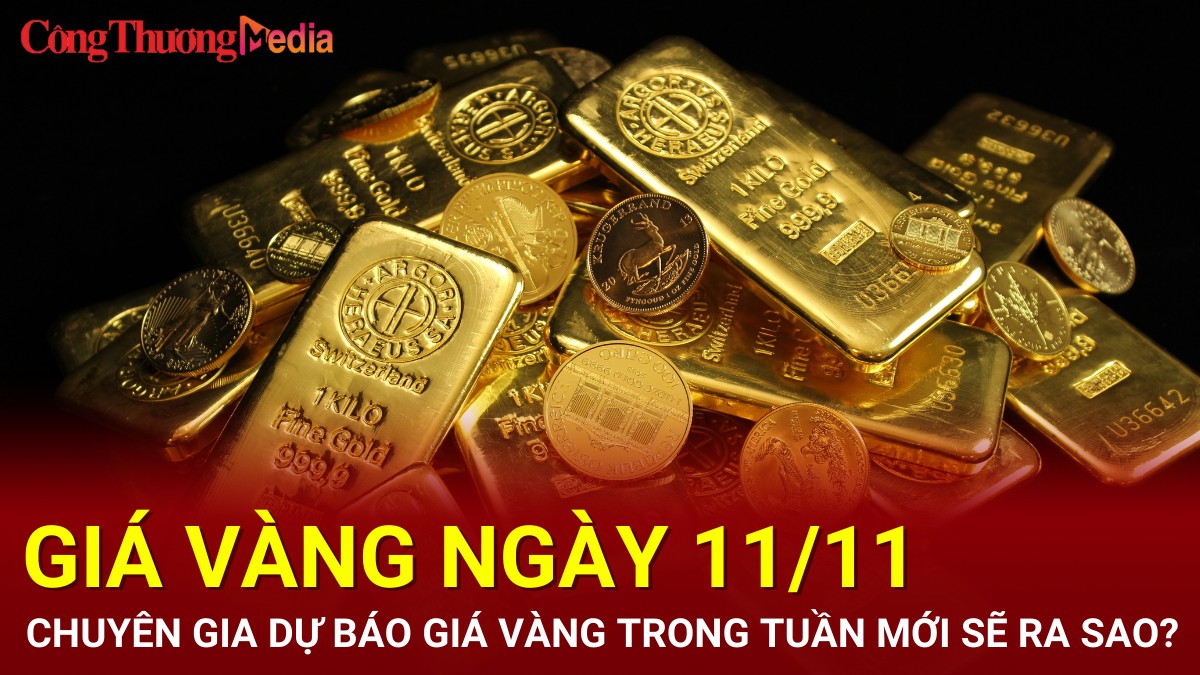 Giá vàng hôm nay 11/11/2024: Chuyên gia dự báo giá vàng trong tuần mới sẽ ra sao?