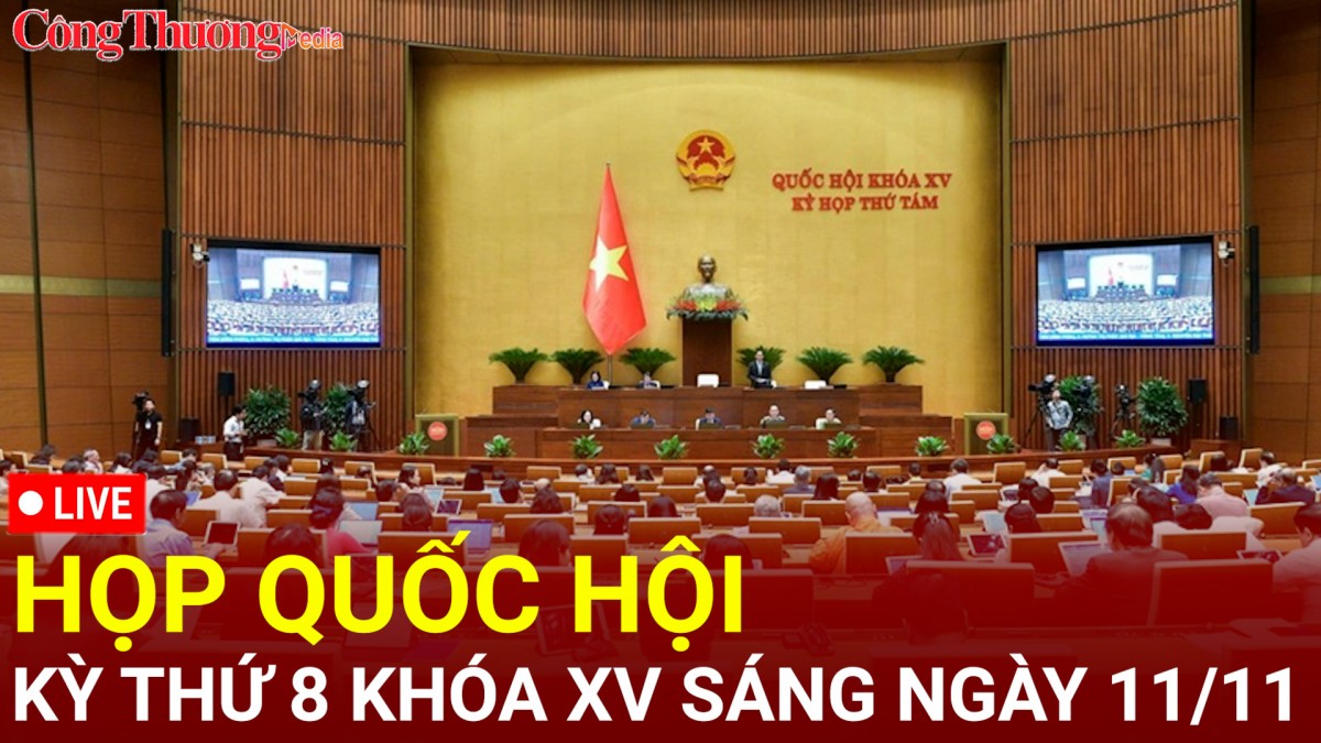 [TRỰC TIẾP]: Kỳ họp thứ 8, Quốc hội khoá XV sáng ngày 11/11/2024