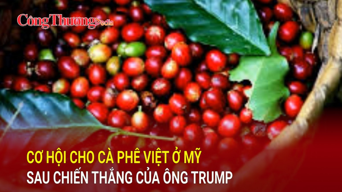 Cơ hội cho cà phê Việt ở Mỹ sau chiến thắng của ông Trump