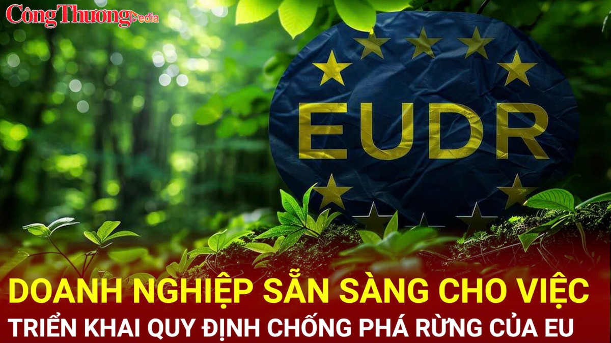 Doanh nghiệp sẵn sàng cho việc triển khai Quy định chống phá rừng EUDR của EU