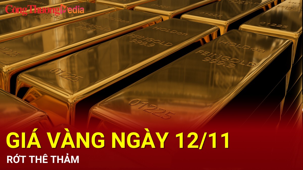 Giá vàng hôm nay 12/11/2024: Giá vàng rớt thê thảm