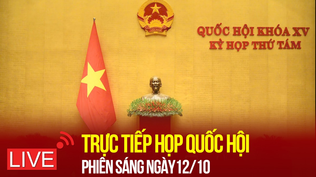 [TRỰC TIẾP]: Kỳ họp thứ 8, Quốc hội khoá XV sáng ngày 12/11/2024