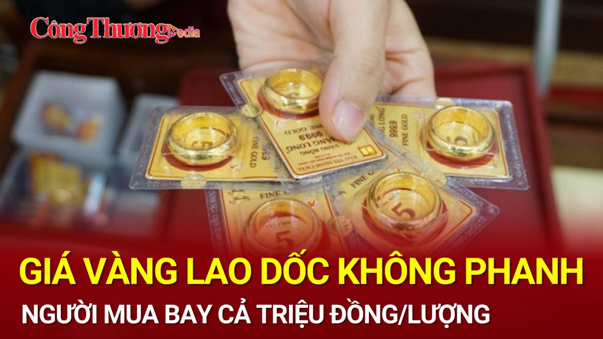 Thị trường vàng ngày 12/11: Giá vàng lao dốc không phanh, người mua 'bay' cả triệu đồng/lượng