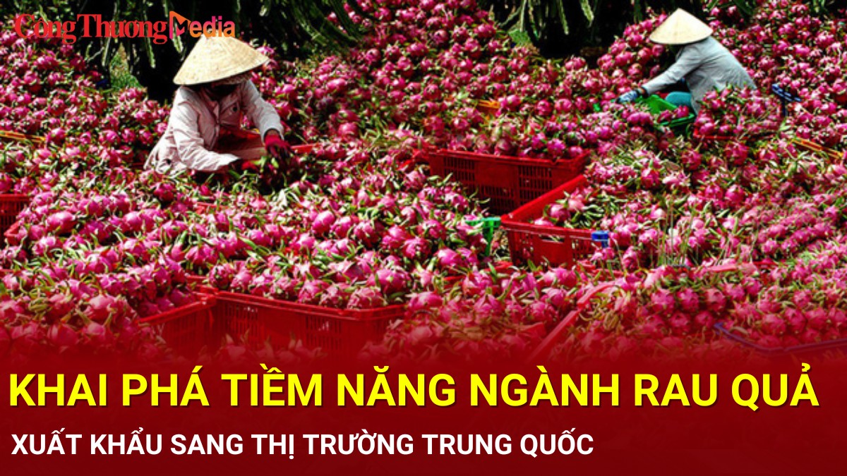 Khai phá tiềm năng ngành rau quả xuất khẩu sang thị trường Trung Quốc