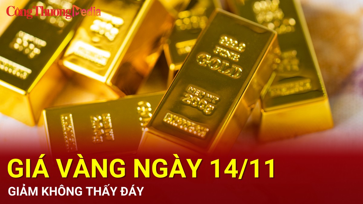 Giá vàng hôm nay 14/11/2024: Giảm không thấy đáy