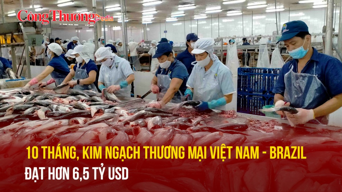 10 tháng, kim ngạch thương mại Việt Nam - Brazil đạt hơn 6,5 tỷ USD