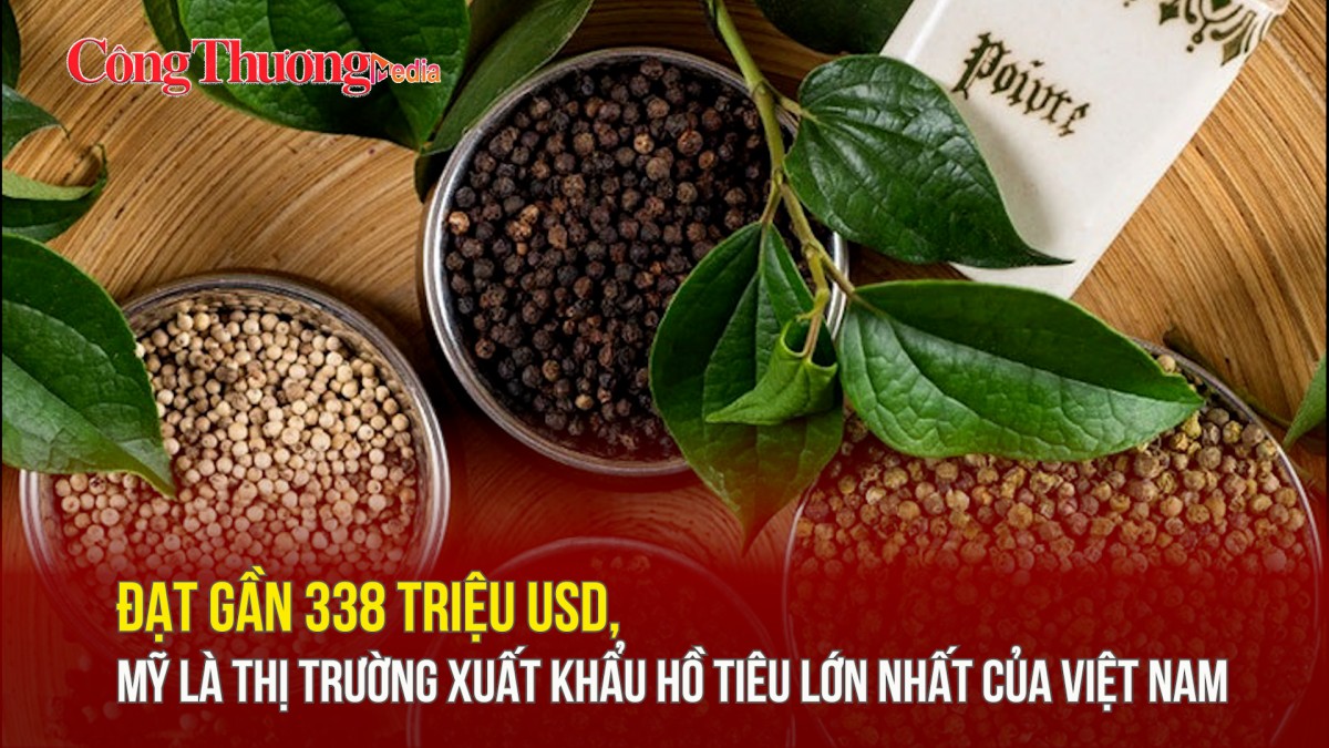 Đạt gần 338 triệu USD, Mỹ là thị trường xuất khẩu hồ tiêu lớn nhất của Việt Nam