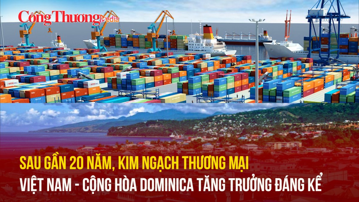 Sau gần 20 năm, kim ngạch thương mại Việt Nam - Cộng hòa Dominica tăng trưởng đáng kể