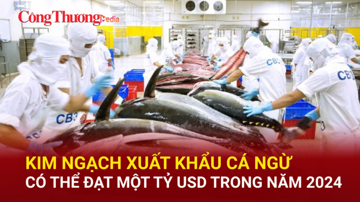 Kim ngạch xuất khẩu cá ngừ có thể đạt một tỷ USD trong năm 2024