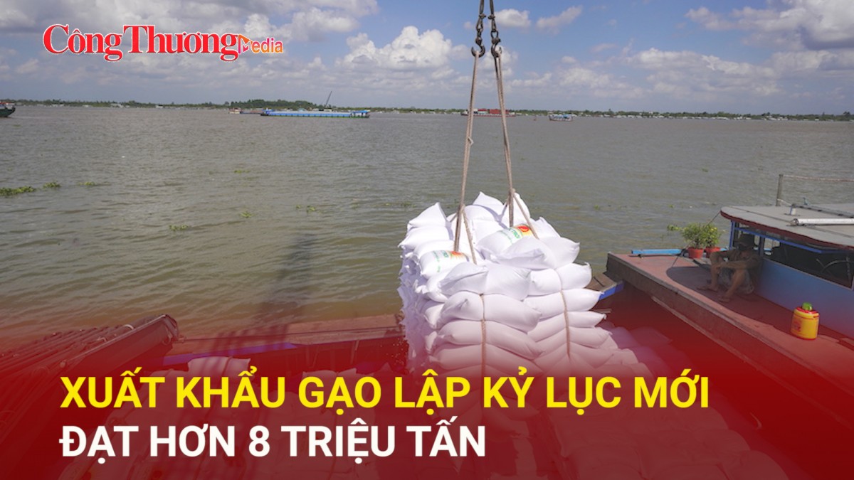 Xuất khẩu gạo lập kỷ lục mới đạt hơn 8 triệu tấn