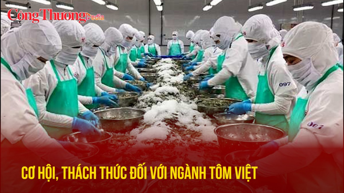 Cơ hội, thách thức đối với ngành tôm Việt